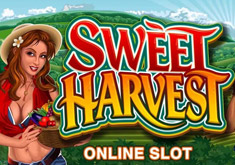 Sweet Harvest игровой автомат.